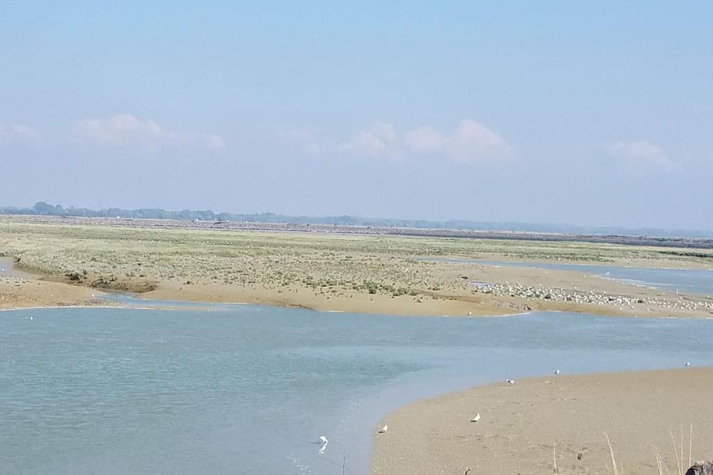 לה קרוטואה Superbe Studio Au Crotoy Acces Direct Plage מראה חיצוני תמונה